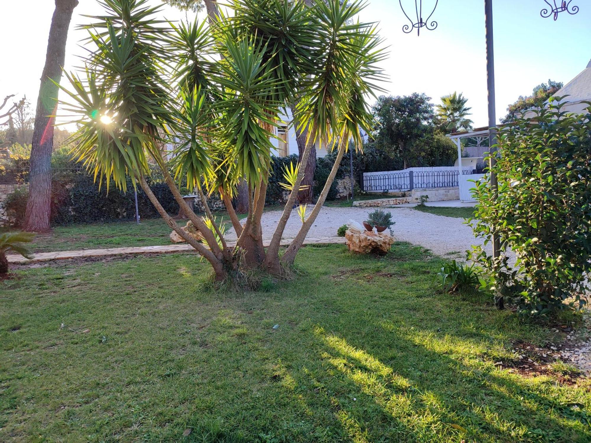 Villa Don Peppe Selva Di Fasano Ruang foto